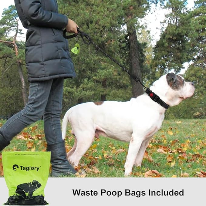 Taglory Rope Dog Leash 5 FT with Comfortable Padded Handle, Highly Reflective Threads Leash for Medium Large Dogs, 1/2 inch, Black