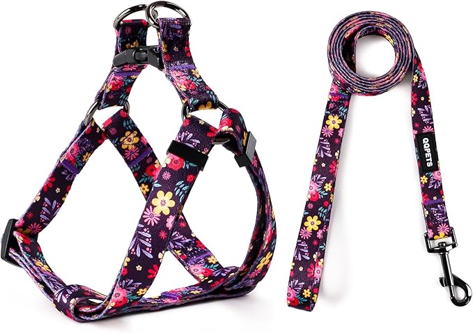 QQPETS Dog Harness Leash Set Adjustable Heavy Duty No Pull Halter Harnesses for Small Medium Large Breed Dogs Back Clip Anti-Twist Perfect for Walking