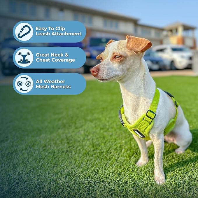 Best Pet Supplies Voyager Step-in Air Harness - All Weather Mesh, Reflective, No Pull Harness for Dogs, Cats - Secure with Hook & Loop Fastener, Buckle, Double D-Rings - Lime Green, S