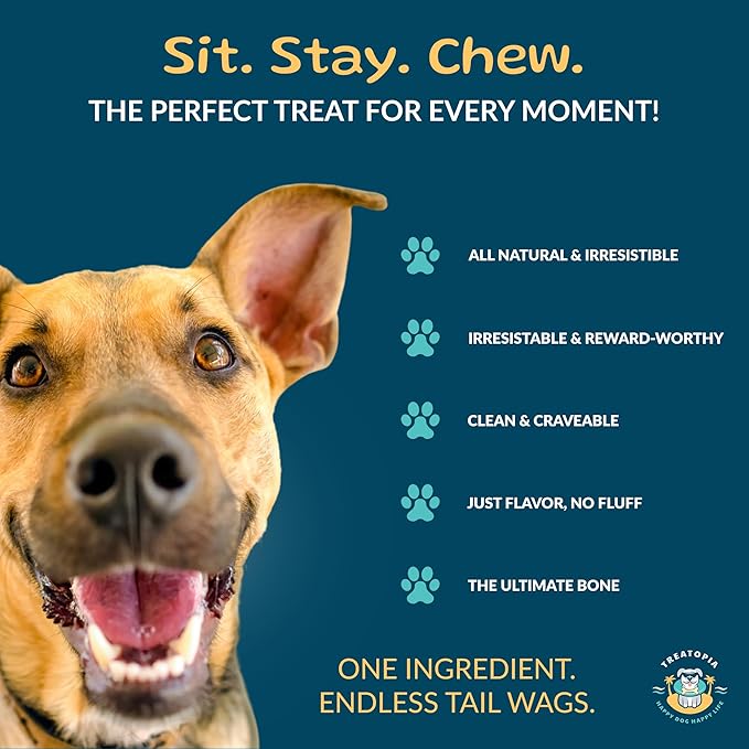 TREATOPIA Adventure Beef Marrow Dog Bones, Dynamo, 3”, 6 PC - All-Natural, Center-Cut, Long-Lasting, Healthy, Single Ingredient, Hand-Trimmed, Slow-Roasted, Made in The USA, No Additives