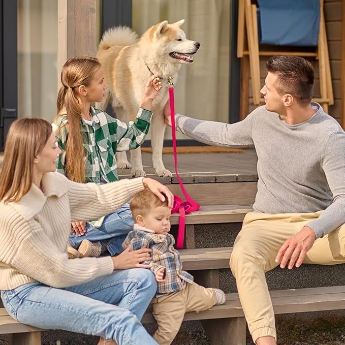Viper Biothane K9 Working Dog Leash Waterproof Lead for Tracking Training Schutzhund Odor-Proof Long Line with Solid Brass Snap for Puppy Medium and Large Dogs 4ft, Passionfruit Pink