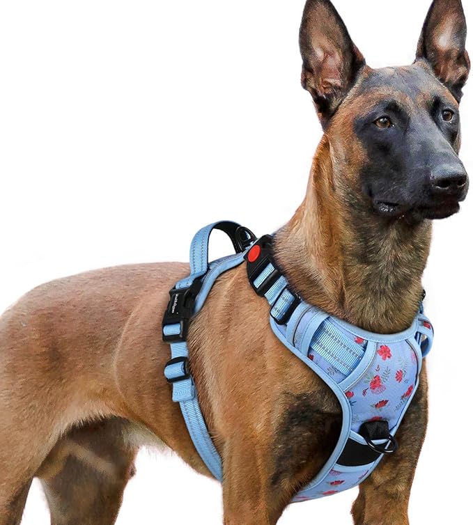 rabbitgoo Dog Harness for Large, No Pull Pet Harness with 3 Buckles, Adjustable Soft Padded Vest with Control Handle, Walking Reflective Pet Vest for Extra Large Dogs, Floral Blue, XL