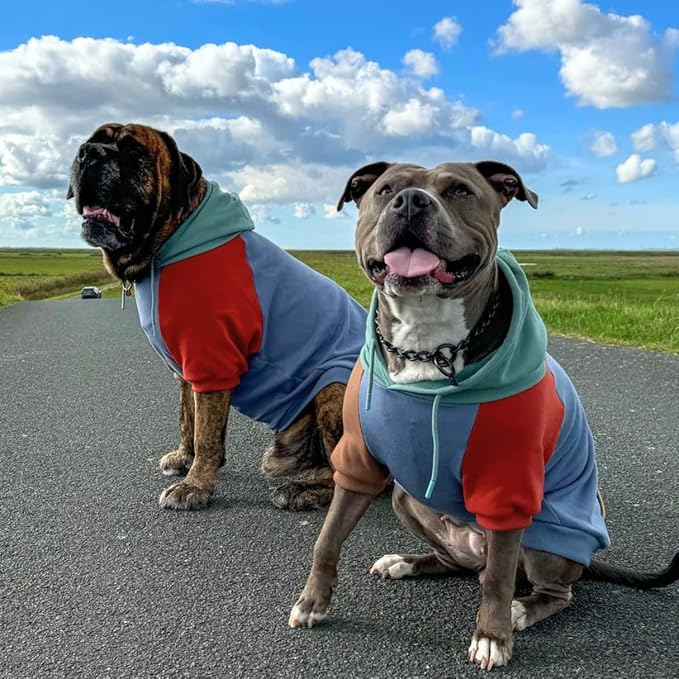 Spark Paws Human Hoodie - Premium Quality, Buttery Soft, Superior Comfort and Fit, Calming Fleece Interior, Suitable for All Styles - Alpine - 2XL