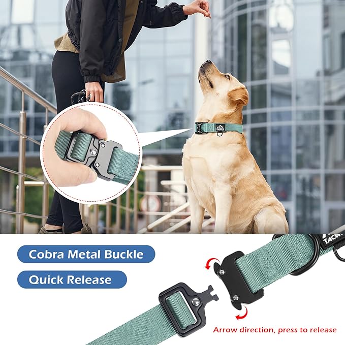 Dog Collar for Large Dogs - Adjustable, Chew Proof Nylon Collar with Metal Quick Release Buckle and D-Ring for Dog Tags (Florida Seaside)