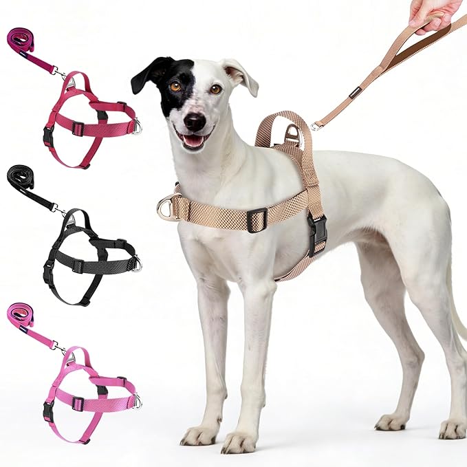 Annchwool No Pull Dog Harness with Front Clip and Easy Control Handle-Belly & Chest Adjustable Dog Harness and Leash Set for Medium Large Dogs-Heavy Duty Vest Harnesses Easy for Walking(Brown,M)