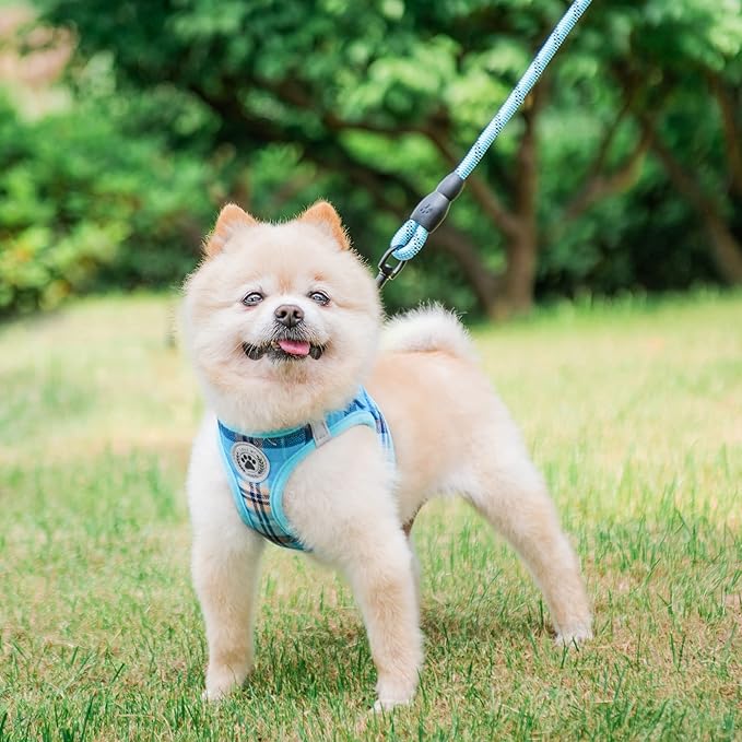 BEAUTYZOO Small Dog Harness and Leash Set,Step in No Choke No Pull Soft Mesh Dog Harnesses Reflective for Extra-Small Medium Puppy Dogs and Cats, Plaid Vest Harness for XS S Pets, Blue S