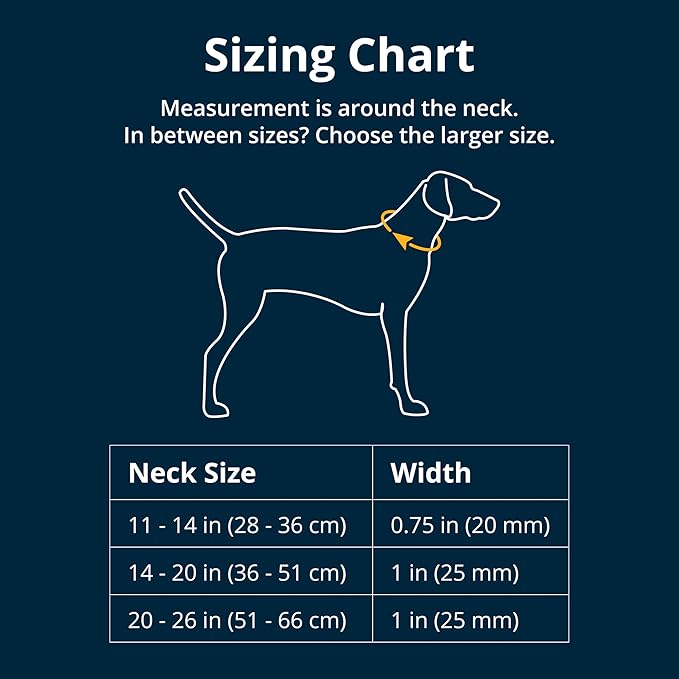 Ruffwear, Front Range Dog Collar, Adjustable Tubelok Webbing, Lightweight, Side Release Buckle, Aluminum V-Ring, Durable for Everyday Use, Mountains Logo, 20"-26"