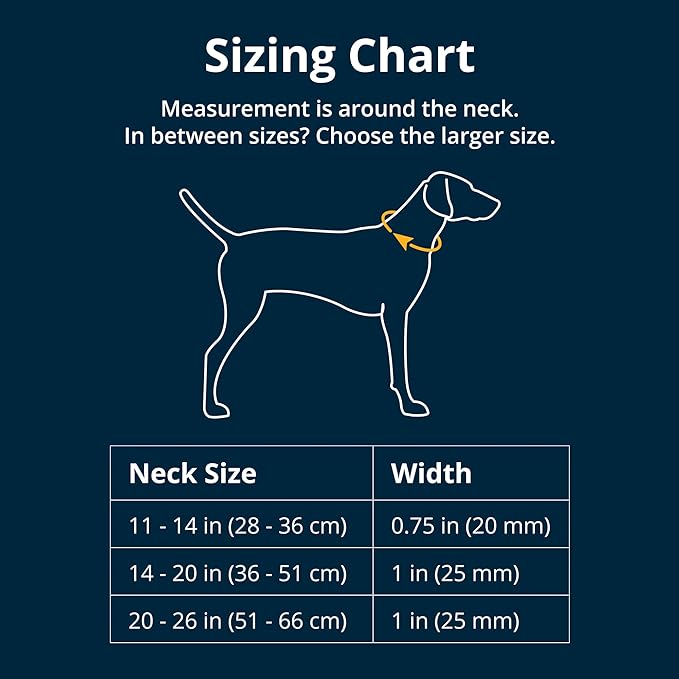 Ruffwear, Front Range Dog Collar, Adjustable Tubelok Webbing, Lightweight, Side Release Buckle, Aluminum V-Ring, Durable for Everyday Use, Blaze Orange, 14"-20"