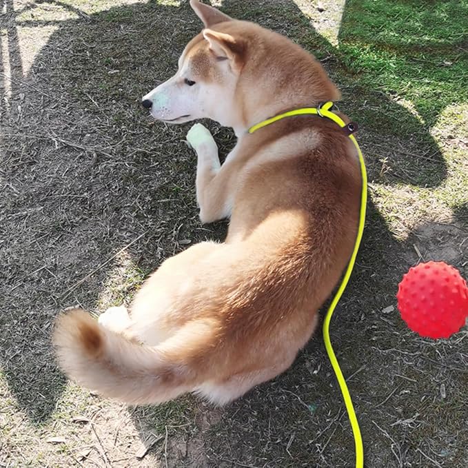 MayPaw Slip Lead Control Leash for Dogs No Pull, 13+ Colors Classic Dog 7 FT Pet Slip Leash, 1/4” Rope Lead for Small Medium Animals (7ft*1/4", Yellow)