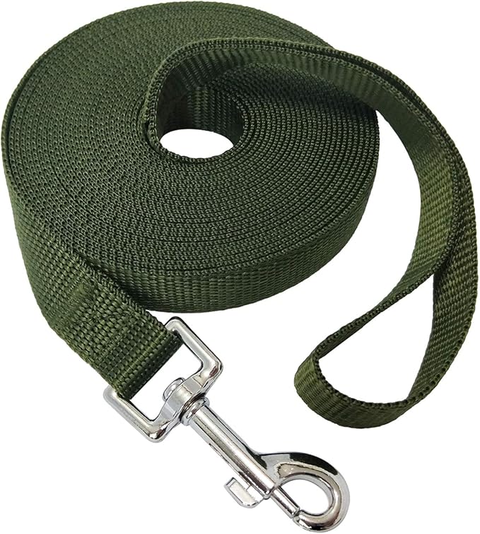 Nylon Training Dog Leash for Small Medium Large Dogs, 15ft 20ft 30ft 50ft Long Leash Dog/Puppy Lead for Obedience Recall Training, Camping (1" x 15ft, Green)