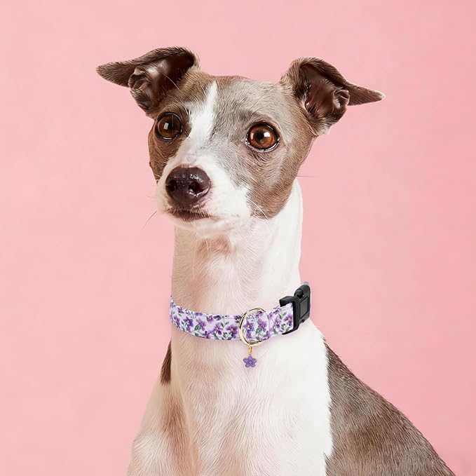 Cotton Dog Collar,Adjustable Cute Puppy Collar with Moon Patterned Design for Small Medium Large Dogs,Soft and Fancy Pet Collar with Safety Buckle for Girl Boy Dogs (Violet, L)