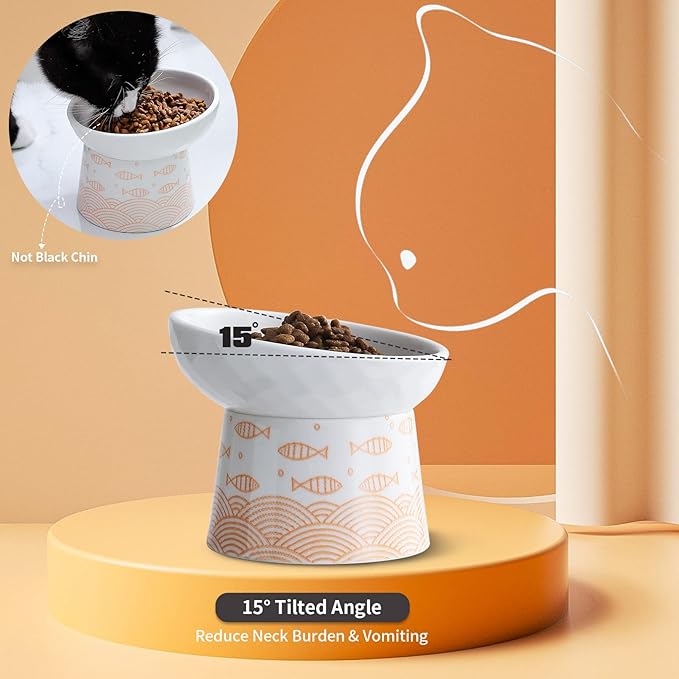 OMAYKEY Ceramic Raised Cat Bowls, Elevated Tilted Cat Food and Water Bowls Set, Porcelain Stress Free Pet Feeder Dish for Kitty Cats and Small Dogs, Dishwasher and Microwave Safe, Set of 2