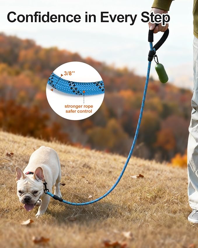 Joytale Dog Leash for Small Dogs, Heavy Duty Nylon Leashes with Comfortable Padded Handle and Highly Reflective Threads, Ideal for Walking and Training, SkyBlue, 6'횞3/8''