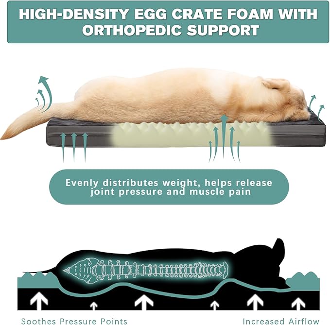 Waterproof XXL Dog Beds Large Sized Dogs, Orthopedic Washable Crate Pad 48 inch, Jumbo XXLarge Foam Pet Bed with Removable Cover Reversible, Anti-Slip Kennel Pad, 47"x29", Dark Gray