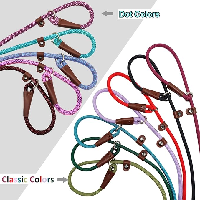 BTINESFUL 7FT Slip Lead Dog Leash, Strong Nylon Rope Leash, 1/4" No Pull Dog Training Lead for Small Medium Dogs