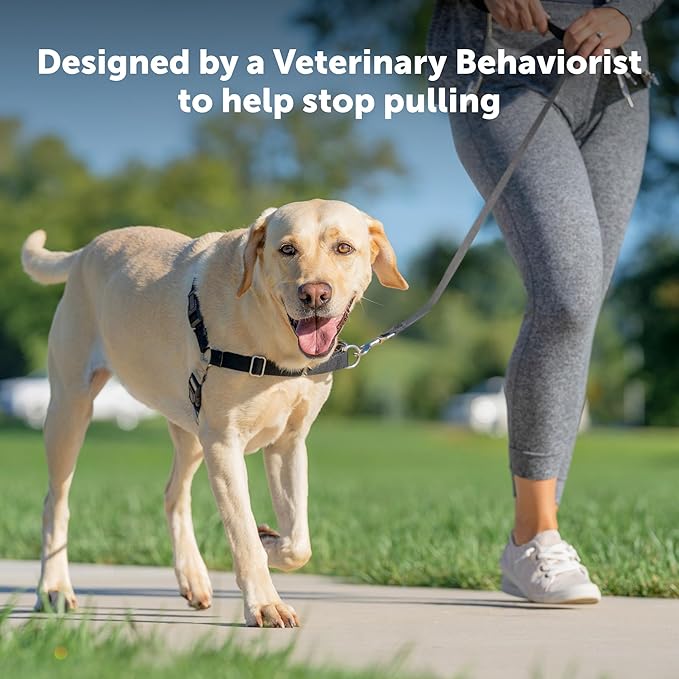 PetSafe Easy Walk Harness for Dogs - Pull-Free Walks - Patented Martingale Loop Design - Front Chest Leash Attachment - Comfort Straps - Breathable Harness Design - Small, Apple Green/Gray