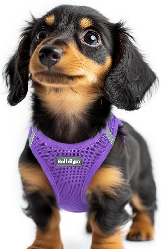 rabbitgoo Small Dog Harness, Step-in Soft Mesh Puppy Vest with Safety Buckle, Breathable Reflective Pet Harness for Extra Small Dogs, Purple XXS