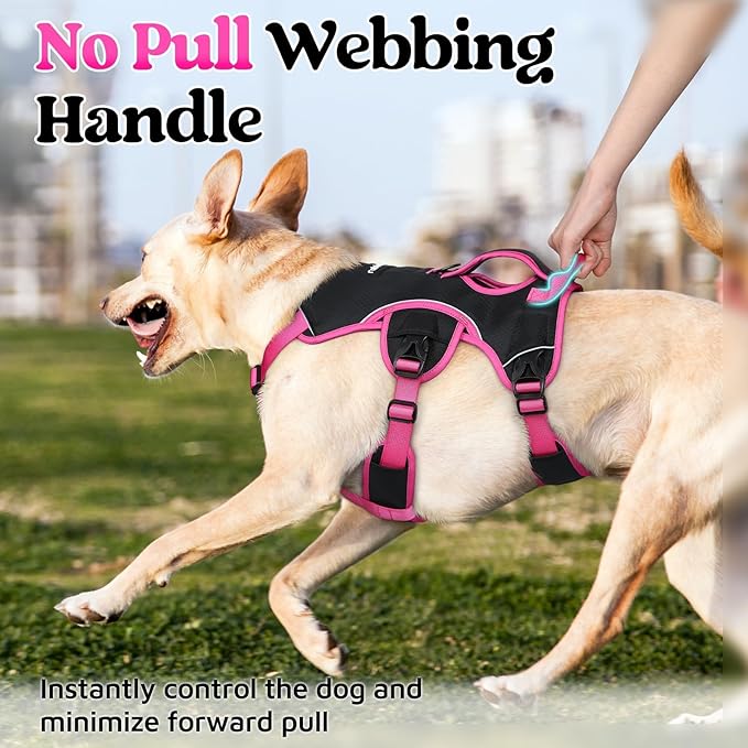 rabbitgoo Escape Proof Dog Harness Medium, Soft Padded Full Body Pet Harness, Reflective Adjustable No Pull Vest with Lift Handle and Leash Clip for Walking Hiking Training, Pink & Black, M