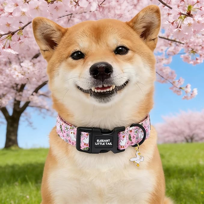 Elegant little tail Dog Collar, White Goose Print Spring/Summer Soft Cotton Puppy Collars Adorable Female or Male Pet Gift Lightweight Plastic Adjustable Dog Collar for Small Dogs