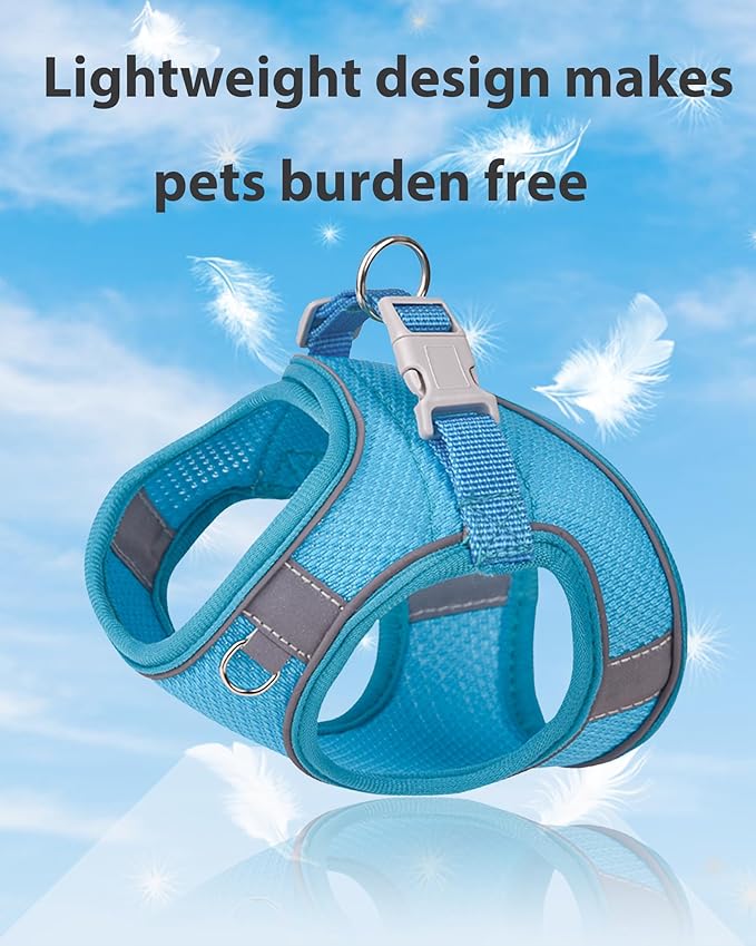 Dog Harness for Small Medium Sized Dog, Step in Puppy Harness and Leash Set Training Walking. (Blue, S)