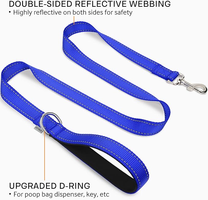 Joytale Dog Leash Heavy Duty for Small Medium Dogs, 5 FT Reflective Nylon Pet Walking Lead with Soft Padded Handle, Durable & Tangle Free for Training, Running & Safety Control, Navy Blue