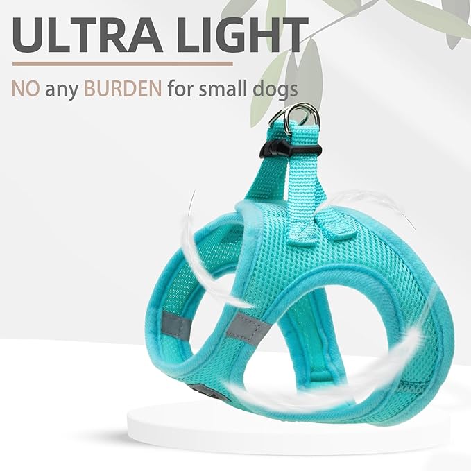 PUPTECK Adjustable Dog Harness Collar and Leash Set Step in No Pull Pet Harness for Small Medium Dogs Puppy and Cats Outdoor Walking Running, Soft Mesh Padded Reflective Vest Harnesses, Turquoise XS