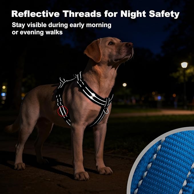 No Pull Dog Harness with Handle, Soft Mesh Padded Adjustable for Small Medium Large Dogs | Reflective Easy Walk Harness with Front Clip for Training, Running & Outdoor (Royal Blue, S)