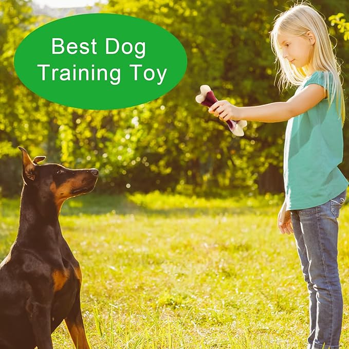 2 Pack Dog Chew Toys for Aggressive Chewers - Beef Flavor Indestructible Nylon Puppy Bone Tough Teething & Calming for Large Medium Breeds(10lbs-70lbs) Birthday Gift Christmas
