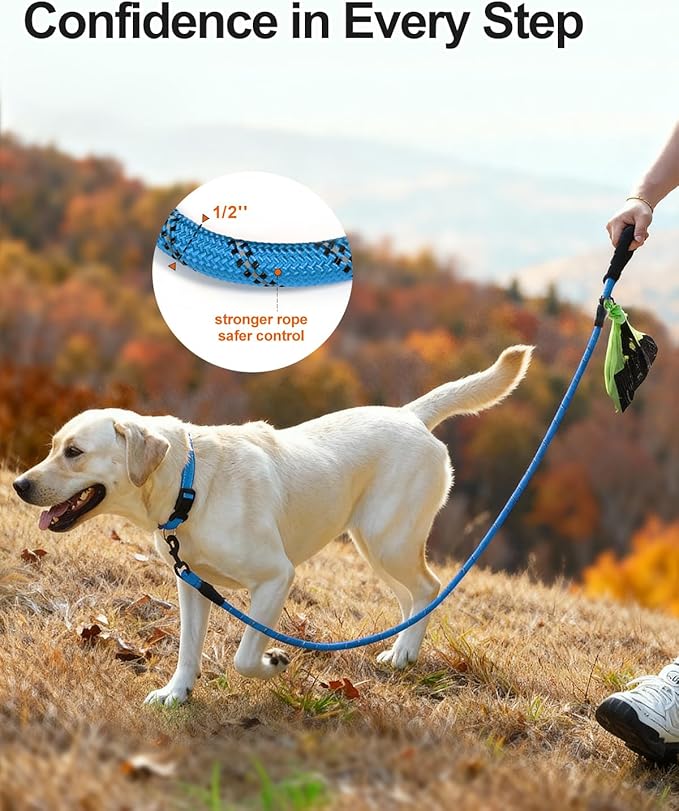 Joytale Dog Leash for Large Dogs, Heavy Duty Nylon Leashes with Comfortable Padded Handle and Highly Reflective Threads, Ideal for Walking and Training, SkyBlue, 5'횞1/2''
