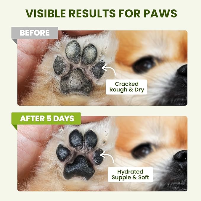 Lick-Safe Dog Paw & Nose Balm with Coconut Oil | Winter Road Salt & Cold Pavement Protector | All-Natural Moisturizer & Soother for Dry, Cracked Pads & Snout, Nose Butter for Bulldogs (60 g /2.1 oz)