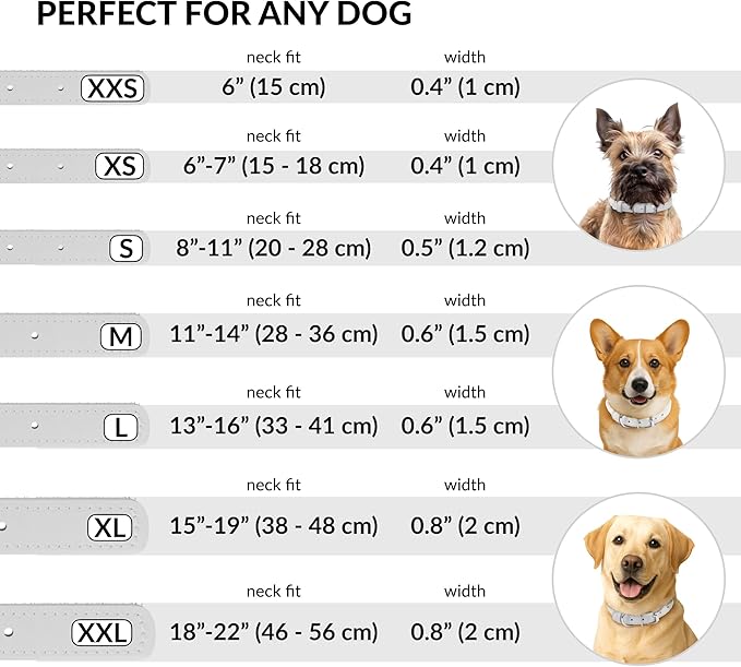 CollarDirect Rolled Leather Dog Collar, Soft Padded Round Puppy Collar, Handmade Genuine Leather Collar Dog Small Large Cat Collars 13 Colors (12-15 Inch, White Smooth)