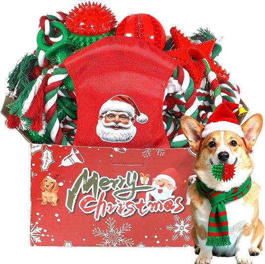 Dog Toys 15 Pack for Teeth Cleaning and Fun, Puppy Teething Chew Toy with Gift Box, Variety Tug Rope Balls & Rubber Rings Bulk for Puppies