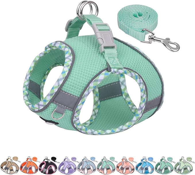 AIITLE XXS Dog Harness & Leash Set - Breathable Reflective No-Choke Small Dog Harness for Teacup Puppies, Indoor/Outdoor Use - Boston Terrier, Maltese, Chihuahua (Turquoise, XXS)