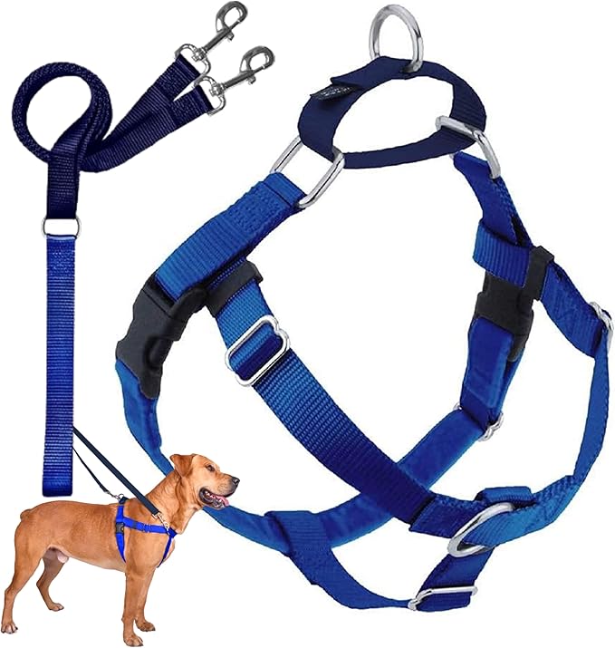 2 Hounds Design Freedom No Pull Dog Harness, Adjustable Harness and Leash Set, Easy Walking & Comfortable Control, Fits Small, Medium & Large Dogs, Solid Colors, Made in USA, 1" MD, Royal Blue