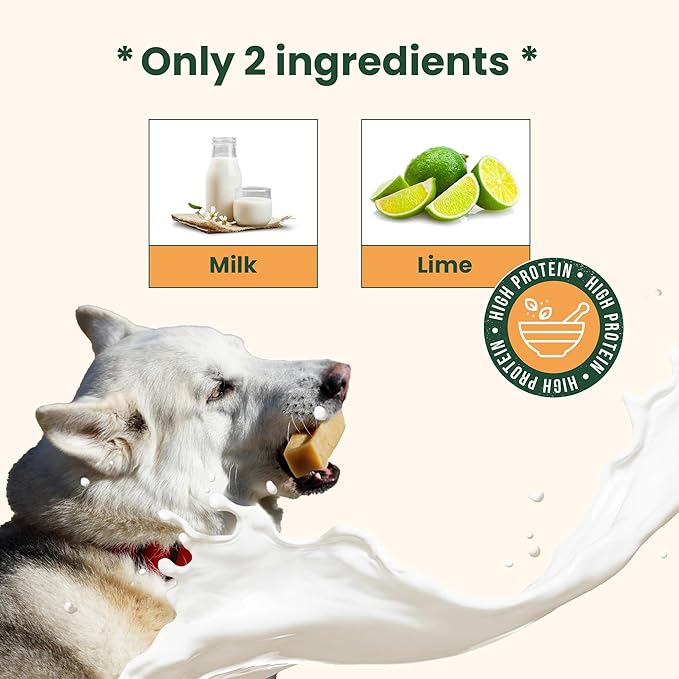 KATHMANDU'S Authentic Yak Cheese Himalayan Dog Chews - All Natural and Protein-Rich Nutrition Dog Treats, Long Lasting Chews for Aggressive Chewers, Odor & Gluten Free Yak Chew | Large (Pack of 2)
