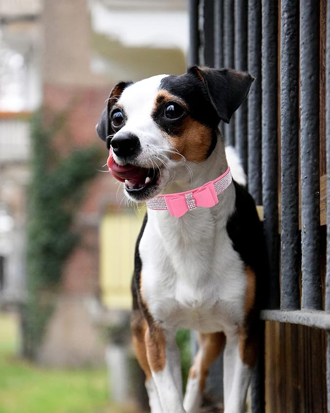 Bling Dog Collar for Small Medium Large Dogs, Crown Rhinestone Dog Collars for Girl and boy Dog, Diamond Puppy Collars, Adjustable Leather Suede SOFE Cat Collar (L(15"-18.1"/38CM-46CM), Pink3)