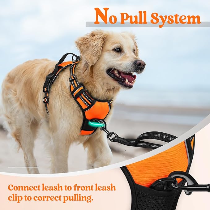 rabbitgoo Dog Harness No Pull with 2 Leash Clips, Adjustable Soft Padded, Reflective Oxford No Choke Pet Vest with Easy Control Handle for Large Dogs, Orange, XL