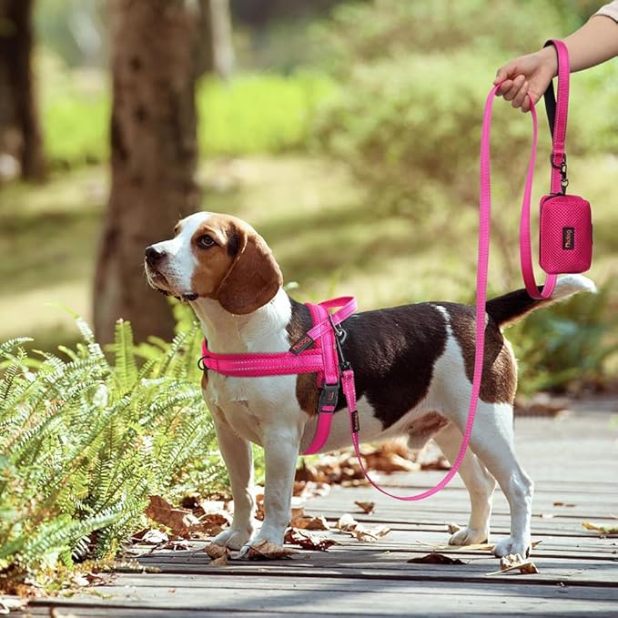 Didog No Pull Dog Harness with Soft Mesh Padded,Reflective & Quick Fit Light Weight Dog Strap Vest Harness,Easy for Walking Training (S:Chest 18-22", Mesh-Hot Pink)