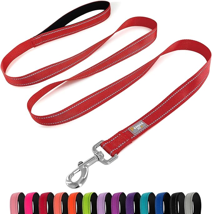 Dog Leash 6 FT Padded Handle Nylon Reflective Dogs Leashes for Small Dogs Red