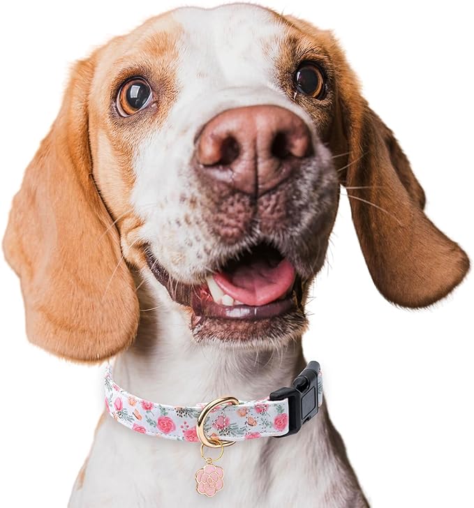 Cotton Dog Collar,Adjustable Cute Puppy Collar with Moon Patterned Design for Small Medium Large Dogs,Soft and Fancy Pet Collar with Safety Buckle for Girl Boy Dogs (Pink Flower, S)
