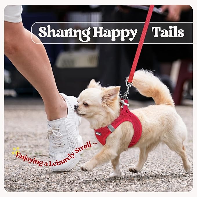 rabbitgoo Dog Harness Small Sized and Leash Set, Step in Soft Light Puppy Vest, Breathable Mesh Pet Harness, Reflective for Safe Easy Walking, Red XS
