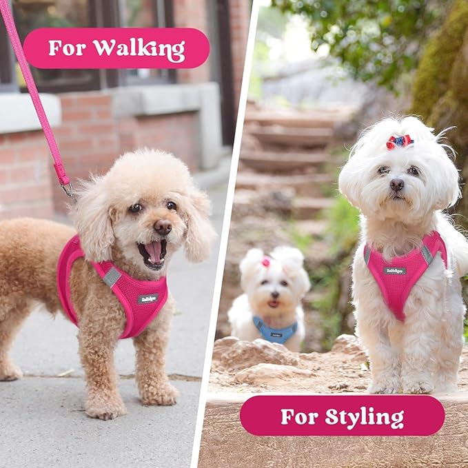 rabbitgoo Small Dog Harness, Step-in Soft Mesh Puppy Vest with Safety Buckle, Breathable Reflective Pet Harness for Large Dogs, Rose Red XXL