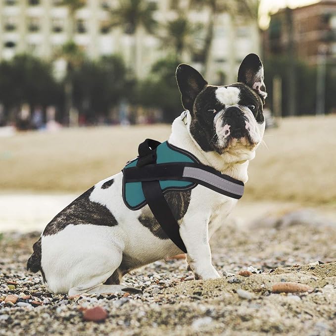 Bolux Dog Harness, No-Pull Reflective Dog Vest, Breathable Adjustable Pet Harness with Handle for Outdoor Walking - No More Pulling, Tugging or Choking (Turquoise, L)