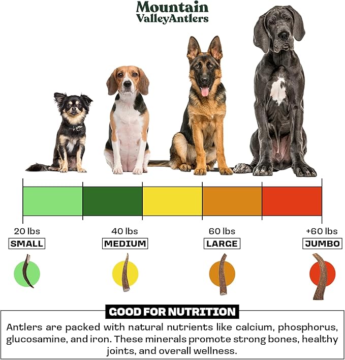 Mountain Valley Elk Antlers for Dogs - 100% Natural & Organic Chew for Aggressive Chewers, No Odor, No Mess, Long Lasting - Wild-Foraged Naturally Shed Antlers in USA - Grade A, Split Large (1 Pack)