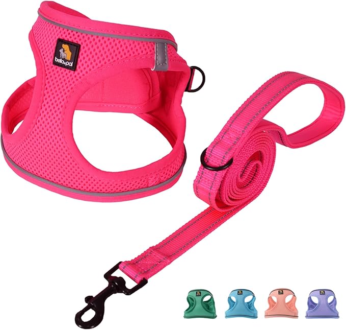 BELLA & PAL Step in Vest Harness for Small and Medium Dogs, No Pull Small Dog Harness with Leash Set, Comfortable Air Mesh Dog Vest Harness with Reflective Strip (Hot Pink, XS)