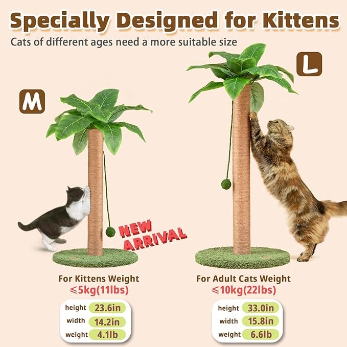 Meowoou Cat Scratching Post with Hanging Ball,23.6 inch Tall Cute Cat Toys for Indoor Cats with Sisal Rope,Palm Decor Cat Tree Tower for Kitten Scratcher Green