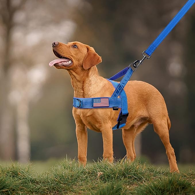 Annchwool No Pull Dog Harness with Padded Handle+5 Ft Leash,Reflective Strip Escape Proof and Quick Fit to Adjust Dog Harness,Easy for Training Walking for Small & Medium and Large Dogs(Blue-Set,S)