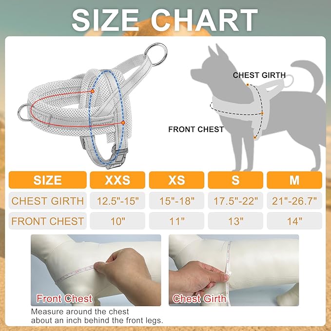 BEAUTYZOO Dog Harness for Small Dogs, No Pull Dog Harness and Leash Set, Soft Escape Proof Puppy Vest Harness with Handle, Reflective Lightweight Step in Harness for Girl Boy Dogs, Purple S
