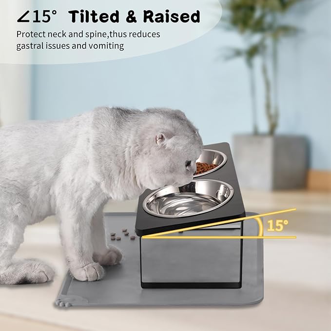 Upgraded Elevated Cat Bowls with Food Mat,15°Tilted Stand Anti Vomiting Raised Cat Dishes for Food and Water,2 Stainless Steel Bowls for Cats and Puppy（Black）
