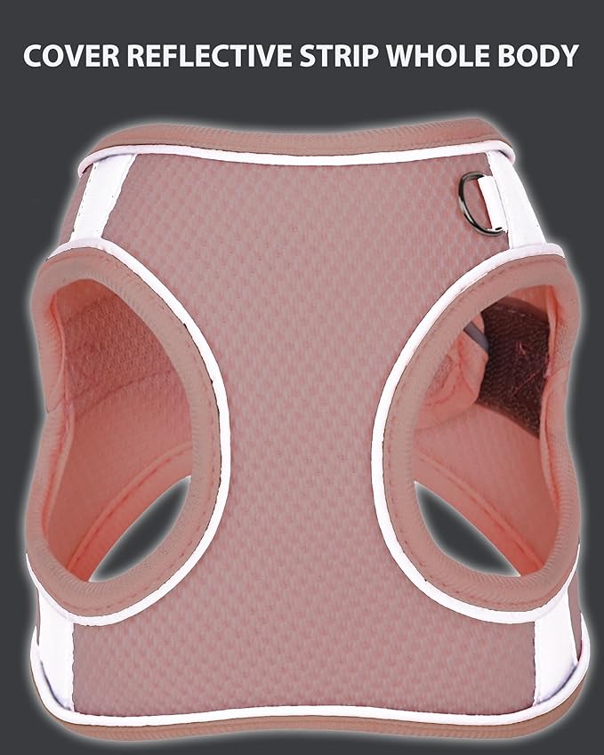 Dog Harness for Small Medium Sized Dog, Step in Puppy Harness and Leash Set Training Walking. (Peach, XXS)